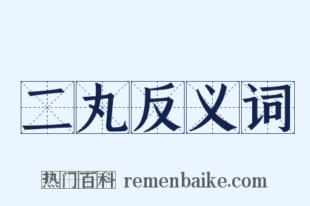 二丸反义词是什么意思的图片